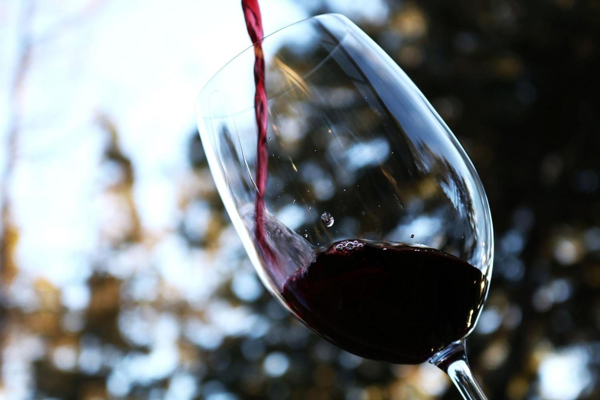 Calfuco Wine Hotel & Spa Puerto Manzano Zewnętrze zdjęcie